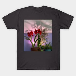 Houseplants T-Shirt